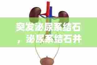 突发泌尿系结石,泌尿系结石并发症有哪些