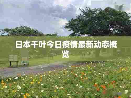 日本千叶今日疫情最新动态概览