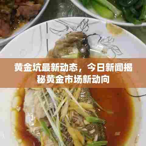黄金坑最新动态,今日新闻揭秘黄金市场新动向