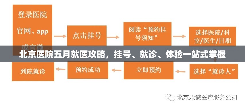 北京医院五月就医攻略,挂号、就诊、体验一站式掌握