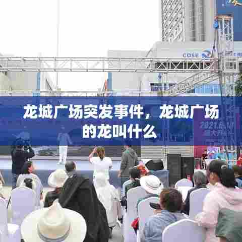 龙城广场突发事件，龙城广场的龙叫什么 