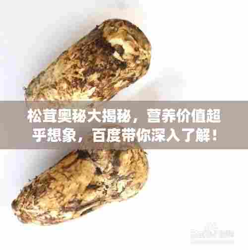 松茸奥秘大揭秘,营养价值超乎想象,百度带你深入了解!