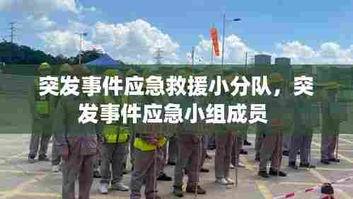 突发事件应急救援小分队，突发事件应急小组成员 