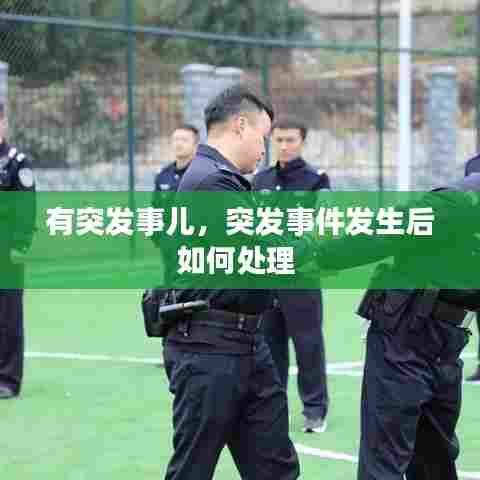 有突发事儿,突发事件发生后如何处理