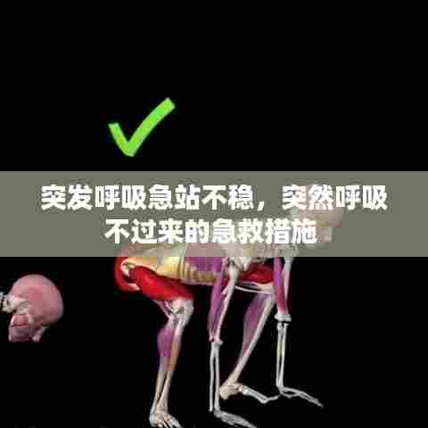 突发呼吸急站不稳,突然呼吸不过来的急救措施