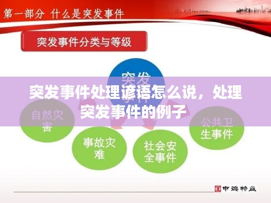 突发事件处理谚语怎么说，处理突发事件的例子 