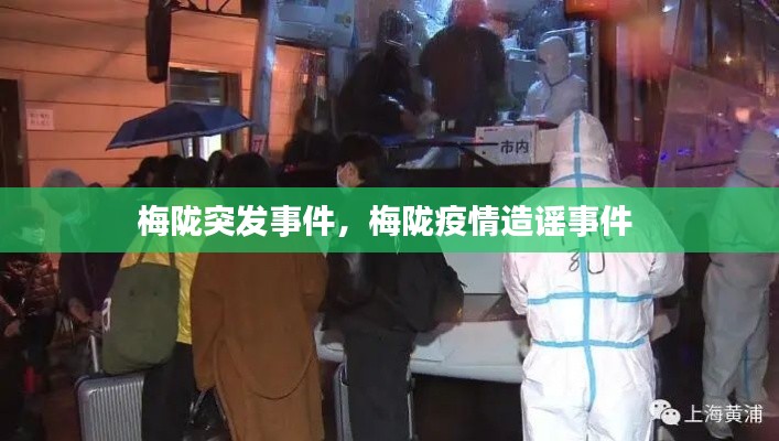 梅陇突发事件,梅陇疫情造谣事件