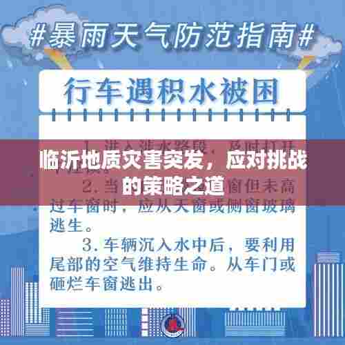 临沂地质灾害突发，应对挑战的策略之道
