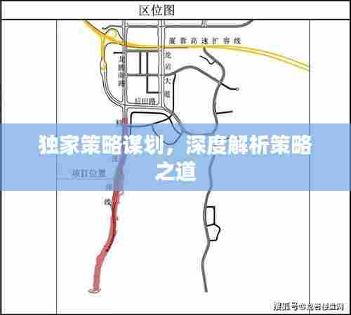 独家策略谋划,深度解析策略之道