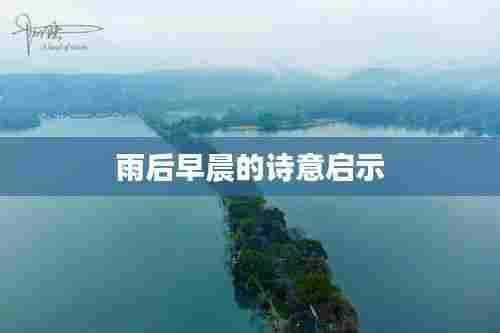 雨后早晨的诗意启示