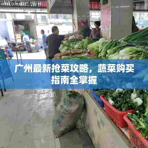 广州最新抢菜攻略，蔬菜购买指南全掌握