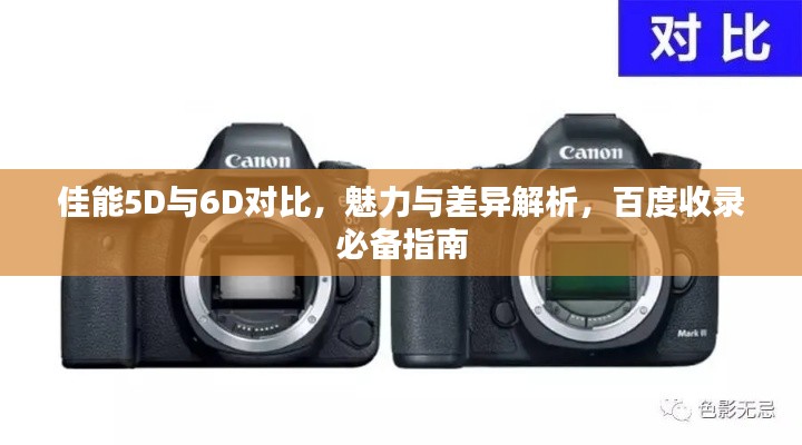佳能5D与6D对比,魅力与差异解析,百度收录必备指南