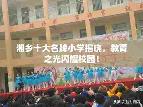 湘乡十大名牌小学揭晓，教育之光闪耀校园！
