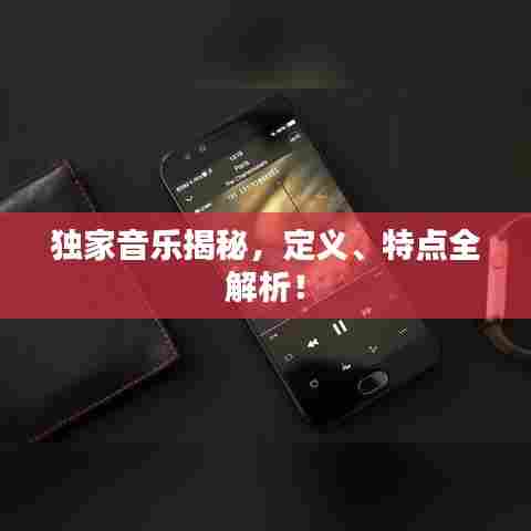 独家音乐揭秘,定义、特点全解析!
