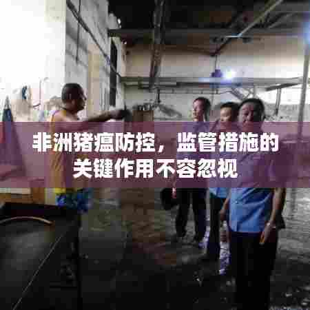 非洲猪瘟防控，监管措施的关键作用不容忽视