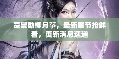 楚景勋柳月筝，最新章节抢鲜看，更新消息速递