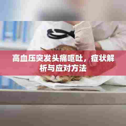 高血压突发头痛呕吐,症状解析与应对方法