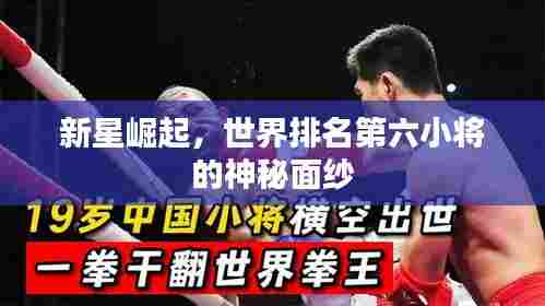 新星崛起,世界排名第六小将的神秘面纱