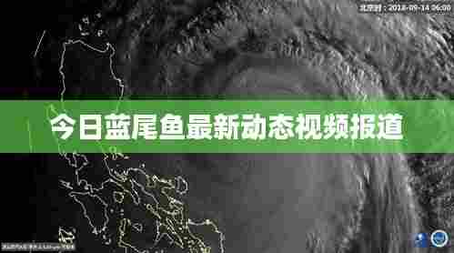 今日蓝尾鱼最新动态视频报道