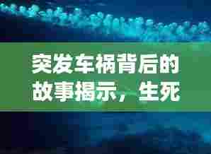 突发车祸背后的故事揭示,生死边缘的启示与阴间的思考
