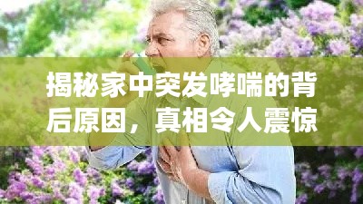 揭秘家中突发哮喘的背后原因，真相令人震惊！