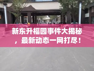 新东升福园事件大揭秘,最新动态一网打尽!