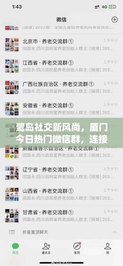 鹭岛社交新风尚,厦门今日热门微信群,连接本地最新社交圈