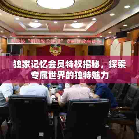 独家记忆会员特权揭秘,探索专属世界的独特魅力
