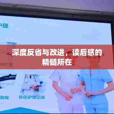 深度反省与改进,读后感的精髓所在