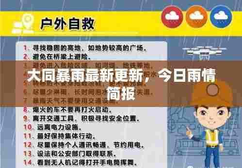 大同暴雨最新更新,今日雨情简报