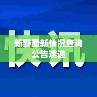 新野最新情况查询公告速递
