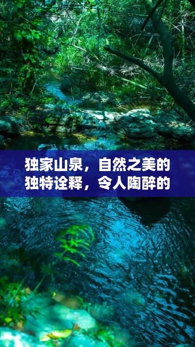 独家山泉,自然之美的独特诠释,令人陶醉的清泉秘境