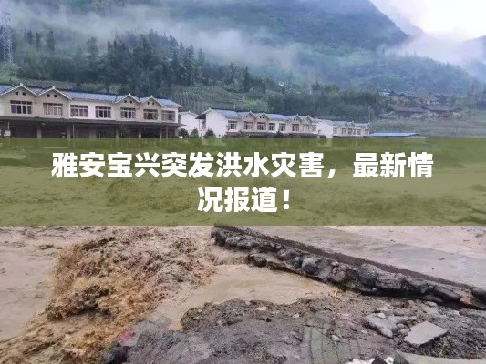雅安宝兴突发洪水灾害,最新情况报道!