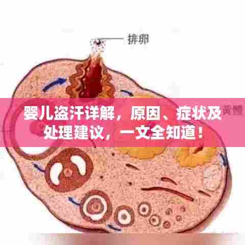 婴儿盗汗详解,原因、症状及处理建议,一文全知道!