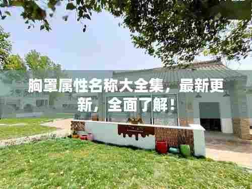 胸罩属性名称大全集,最新更新,全面了解!