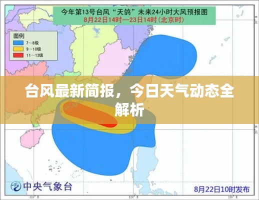 台风最新简报,今日天气动态全解析