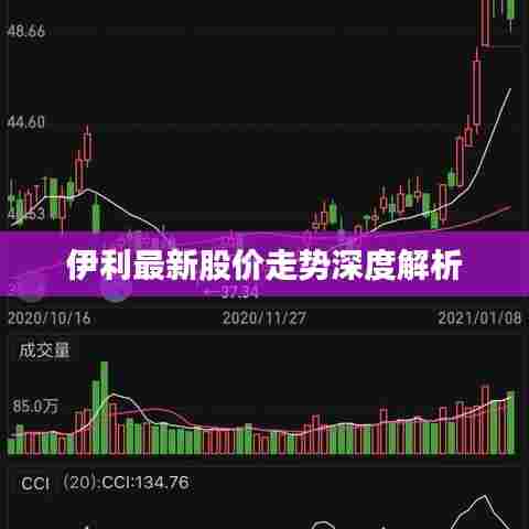 伊利最新股价走势深度解析