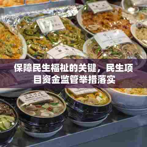 保障民生福祉的关键,民生项目资金监管举措落实