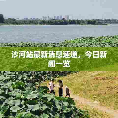 沙河站最新消息速递,今日新闻一览