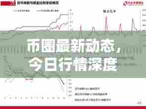 币圈最新动态,今日行情深度解析