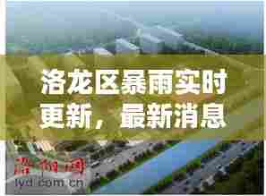 洛龙区暴雨实时更新,最新消息与动态