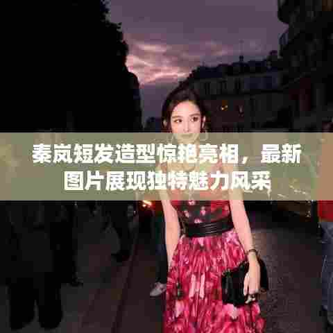 秦岚短发造型惊艳亮相，最新图片展现独特魅力风采