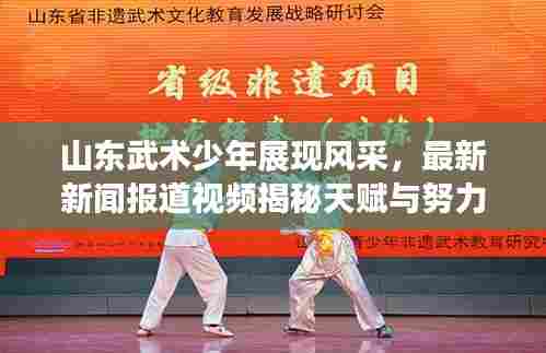 山东武术少年展现风采,最新新闻报道视频揭秘天赋与努力