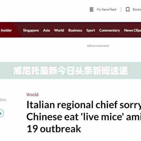 威尼托最新今日头条新闻速递