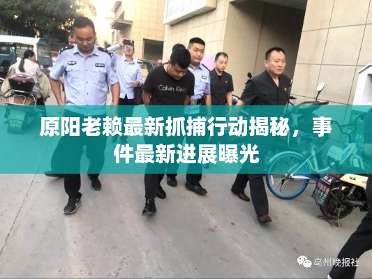 原阳老赖最新抓捕行动揭秘,事件最新进展曝光