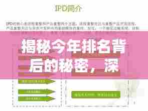 揭秘今年排名背后的秘密,深度解析后十名原因