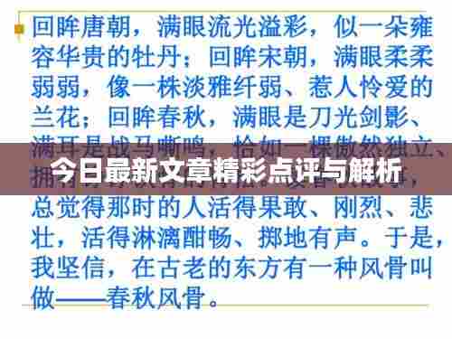 今日最新文章精彩点评与解析