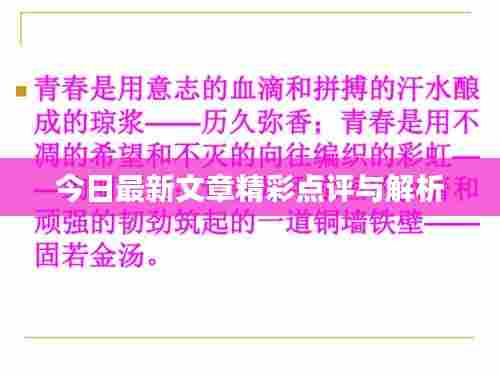 今日最新文章精彩点评与解析