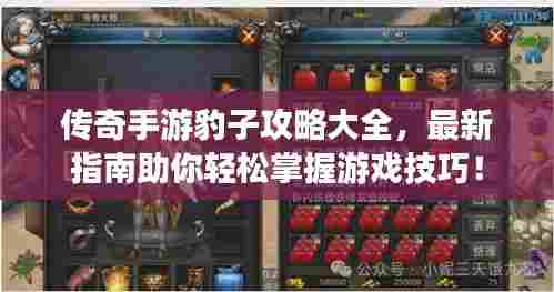 传奇手游豹子攻略大全,最新指南助你轻松掌握游戏技巧!