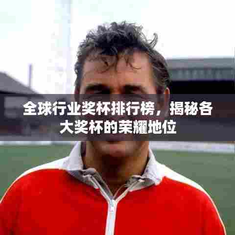 全球行业奖杯排行榜,揭秘各大奖杯的荣耀地位